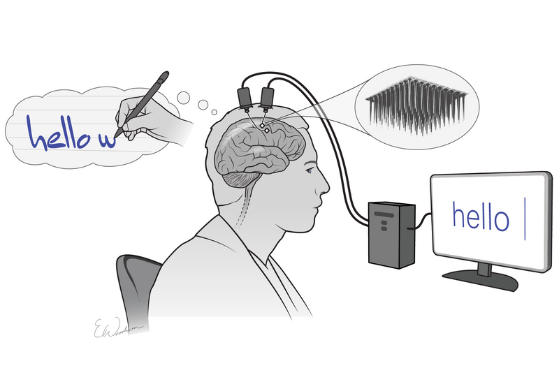 https://cdn.the-scientist.com/assets/articleNo/68762/aImg/42181/bci-article-m.png