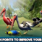 Pelican Bird Simulator 3D