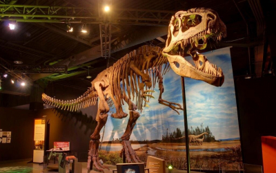Воскрешение динозавров в музеи природы и науки Пэро с помощью AR.