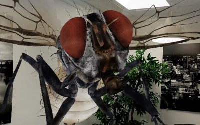 На хэллоуин нью-норк таймс напугает подписчиков жуткими AR насекомыми.