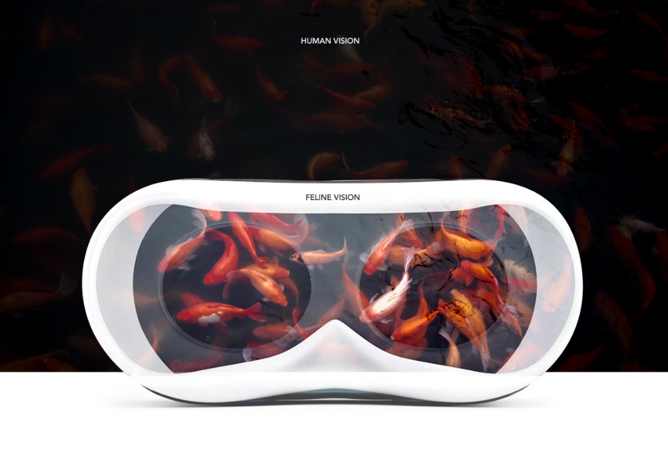 Шлем виртуальной реальности (VR) для вашего любимого домашнего животного.