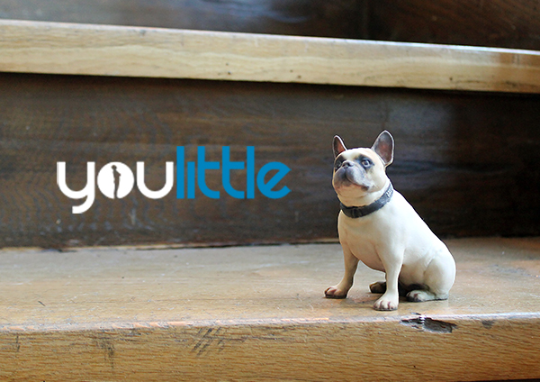 Youlittle - 3D-печать