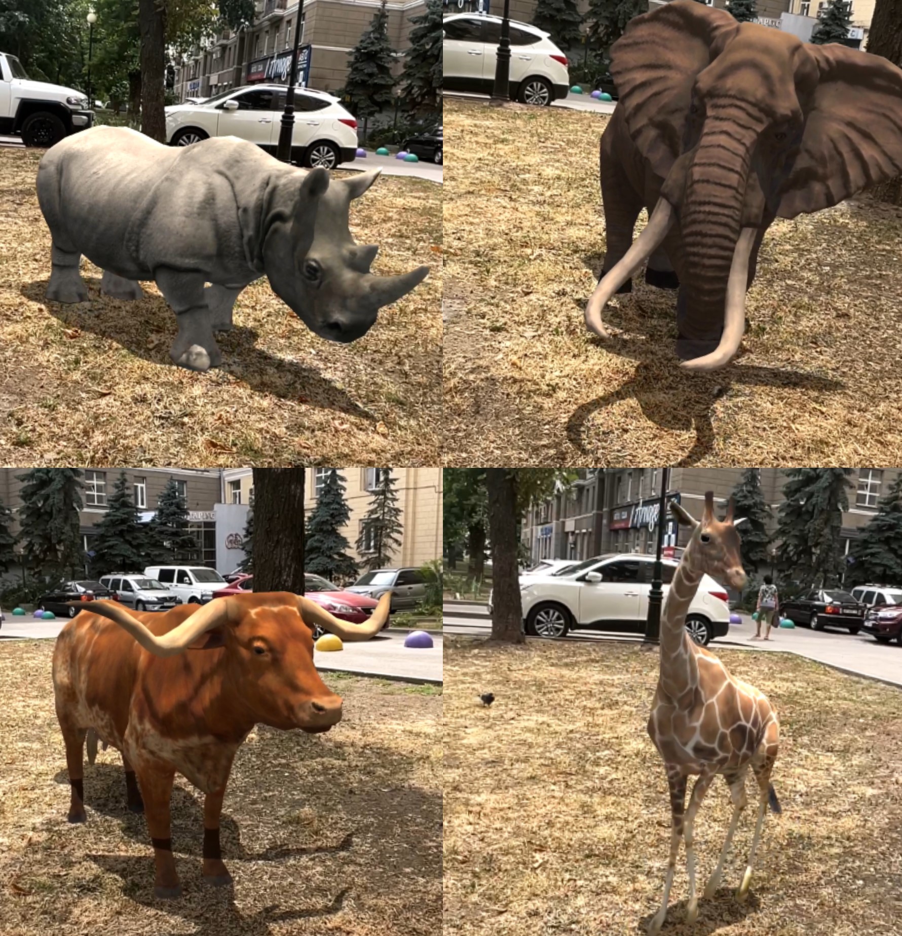 Zoo AR