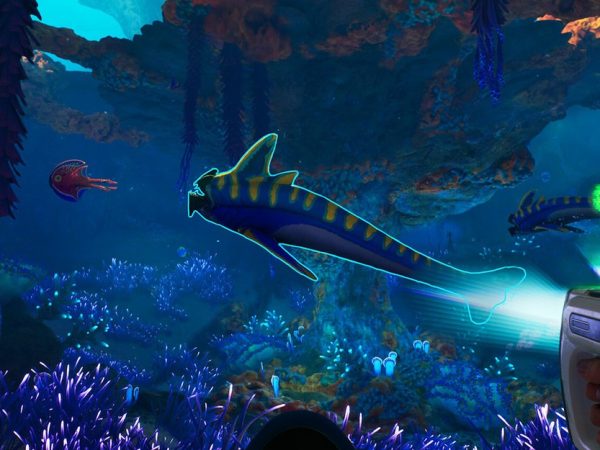 Subnautica 2: одиночная игра, кооператив и новые глубины — что рассказали разработчики