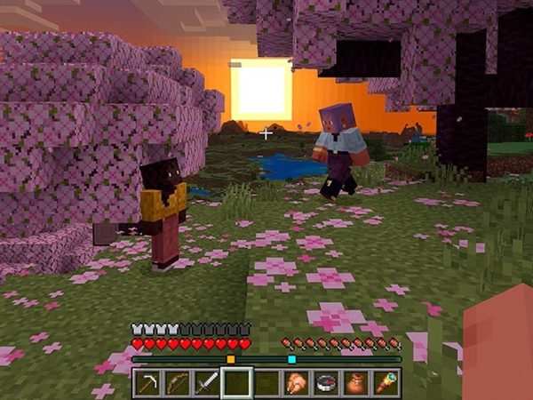 Полоса обнаружения в Minecraft: как она работает и как стать невидимым