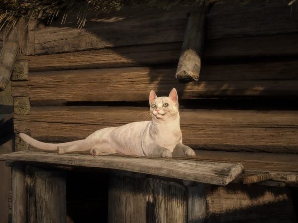 Kingdom Come: Deliverance 2 стала временно бесплатной — шанс испытать реалистичное Средневековье