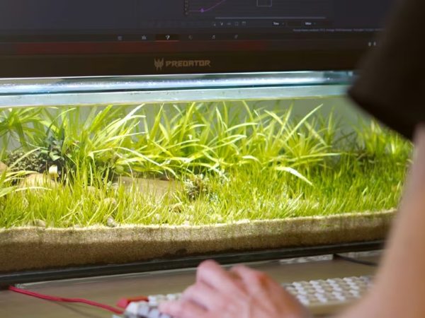 Настольный аквариум под монитором: необычный DIY-проект