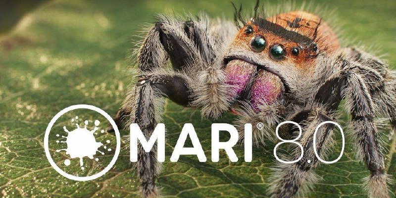 Foundry a publié Mari 8.0 : plus de 50 nouveaux nœuds et mise à jour de la spécification VFX Reference Platform
