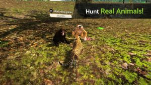 Panther Online