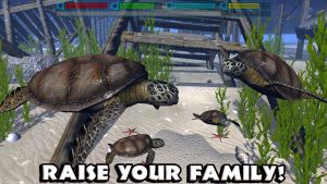 Ultimate Ocean Simulator