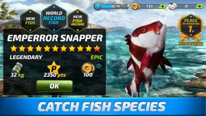 Fishing Clash: Catching Fish Game. Bass Hunting 3D