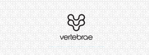 Платформа AXIS от VERTEBRAE облегчает магазинам процесс внедрения опыта AR шоппинга.