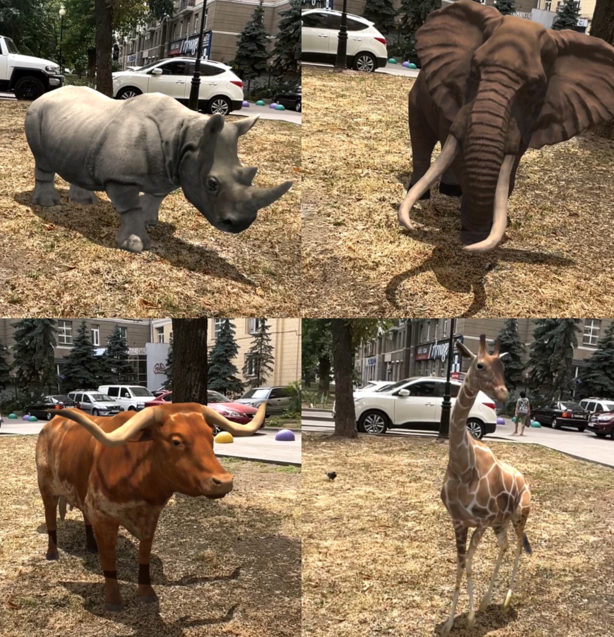 Zoo AR